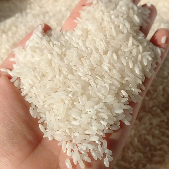Gạo 504  khô cơm , nở nhiều.
