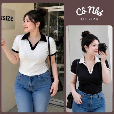 Áo Polo Nữ Bigsize Nữ Cổ Bẻ Tay Ngắn Dáng Croptop Lên Phom Tôn Dáng Vải Borip Mềm Mại A41