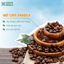Sữa Tắm Hạt Cà Phê Cỏ Cây Hoa Lá 300g - Làm Sạch Sâu, Loại bỏ Tế Bào Chết dịu nhẹ - KTshop