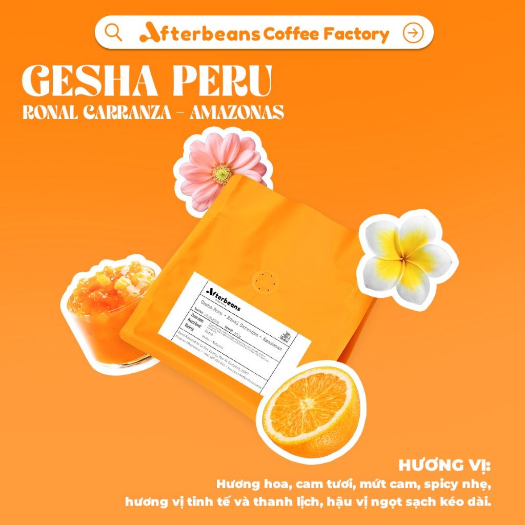 (LIMITED) PERU Ronal Carranza - Gesha - Natural - Afterbeans Specialty Coffee - Floral notes, fresh 