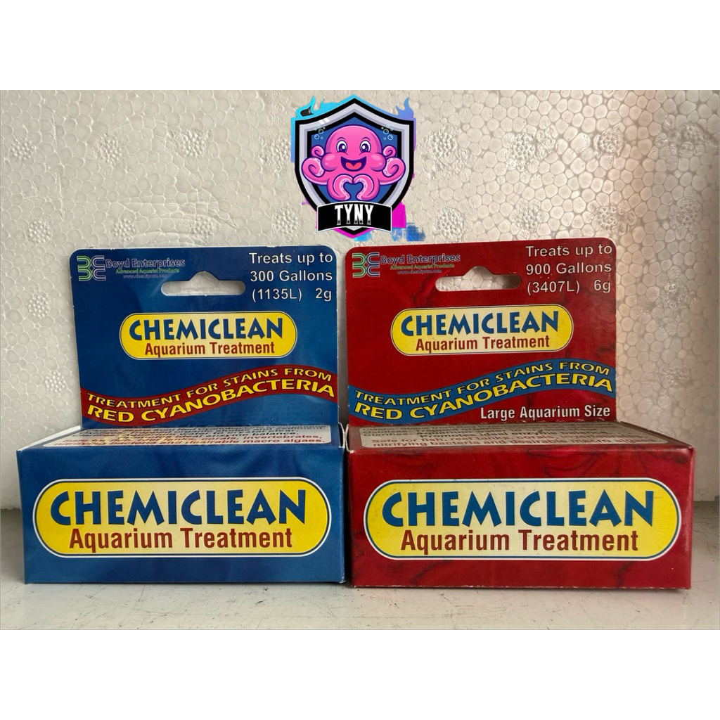 CHEMI CLEAN LOẠI BỎ TẢO ĐỎ CYANO TRONG HỒ CÁ CẢNH BIỂN