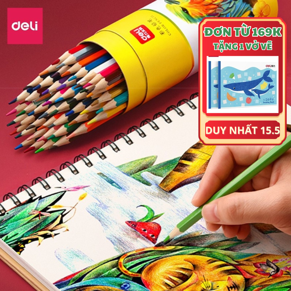 [TẶNG VỞ VẼ] Bút Chì Màu Gốc Dầu Dạng Cốc/Lon 48 Màu Sắc Tươi Sáng, Chì Không Dễ Gãy, Không Dễ Phai Cho Học Sinh