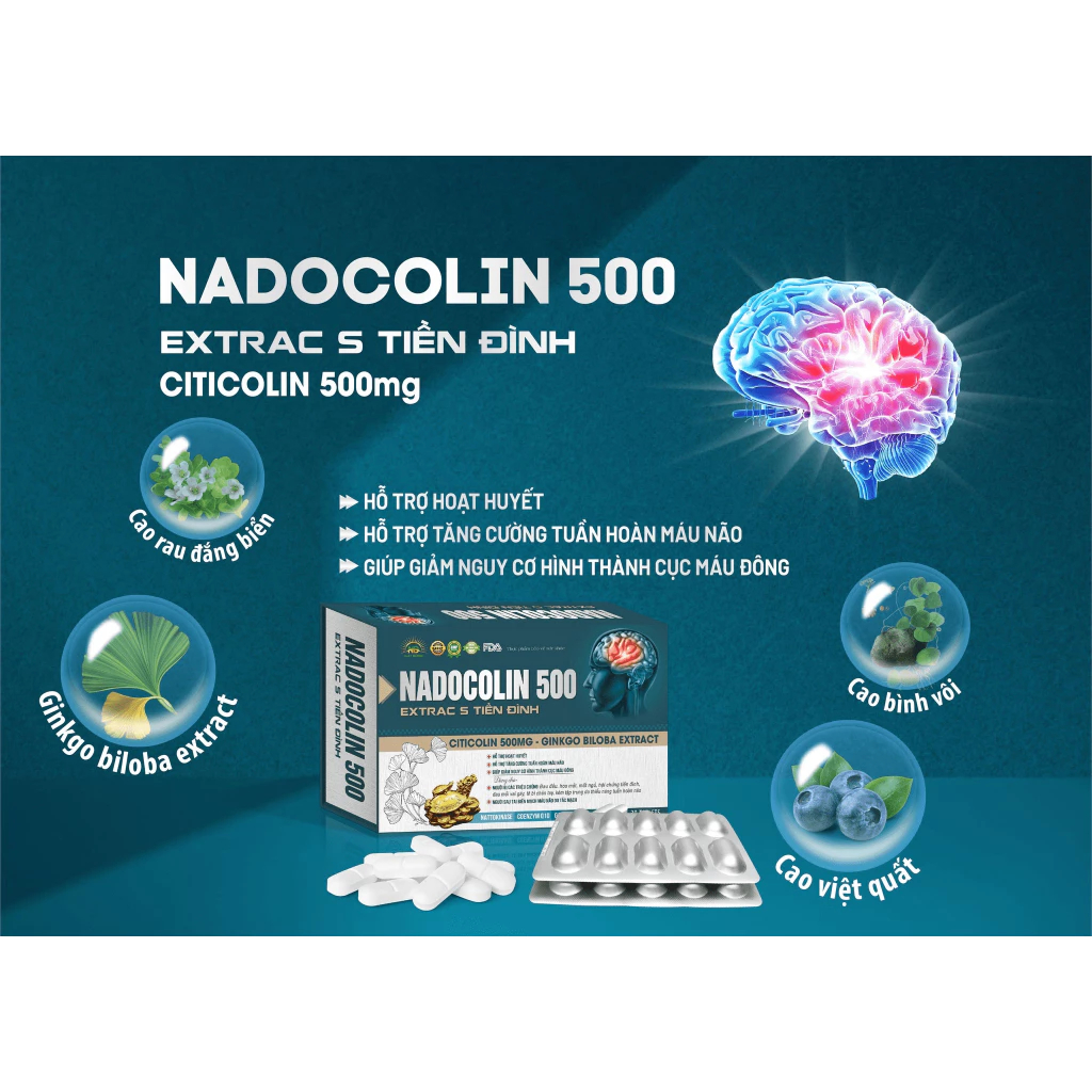 Nadocolin 500 | Bổ Não – Hoạt Huyết Não – Citicoline 500mg + Ginkgo Biloba – Giảm Đau Đầu, Chóng Mặt