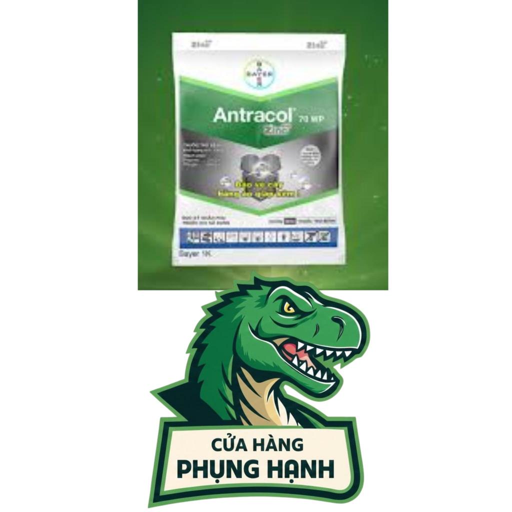 Gói đựng Phân bón Antracol 700WP Chính hãng - Gói 100gr (dạng bột)