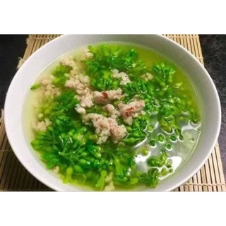 Cây Giống Hoa Thiên Lý Việt Nam Hoa Xanh - Bổ Sung Dinh Dưỡng Tốt Cho Sức Khỏe
