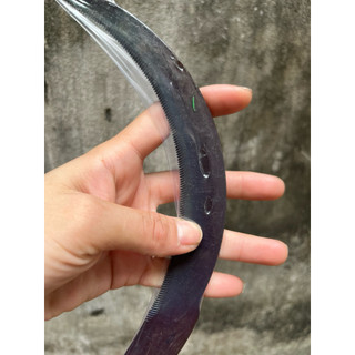 (gia 3 cai ) Liềm cắt cỏ, liềm 7 thép ( mua nhiều giảm giá)