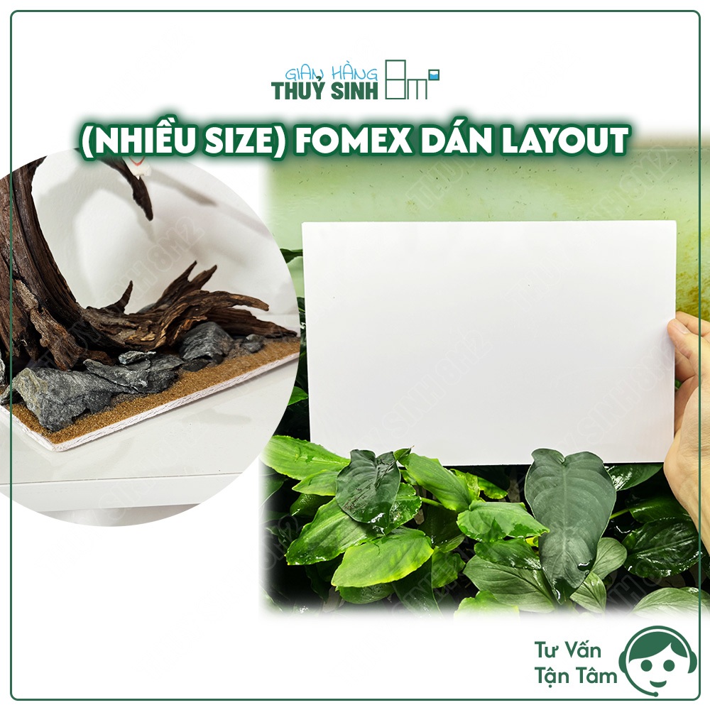 Tấm Fomex Dán Layout Hồ Thuỷ Sinh | Nhiều Size | 8m2