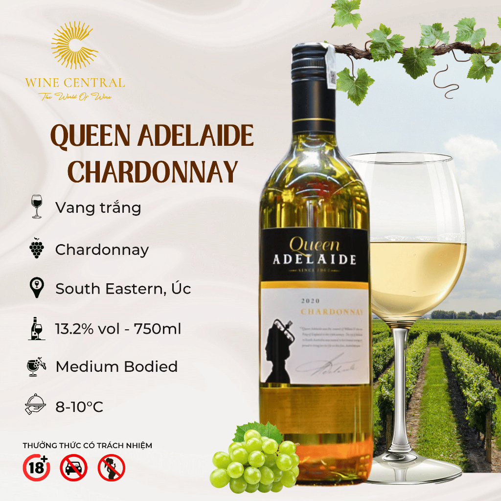 [Chính Hãng] - Rượu Vang Trắng Úc Queen Adelaide Chardonnay 750ml (13,2%) - WINE CENTRAL