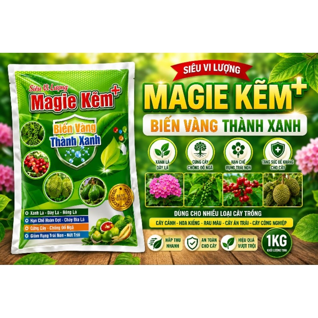Magie kẽm gói