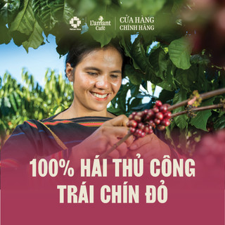 [NEW] Cà Phê Rang Xay L’amant Phin Nhẹ – Hương Dịu Thanh, Pha Phin Nhẹ Vị – Gói 500g
