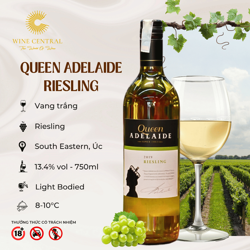 [Chính Hãng] - Rượu Vang Trắng Úc Queen Adelaide Riesling 750ml(13,4%) - Vang Nhập Khẩu WINE CENTRAL
