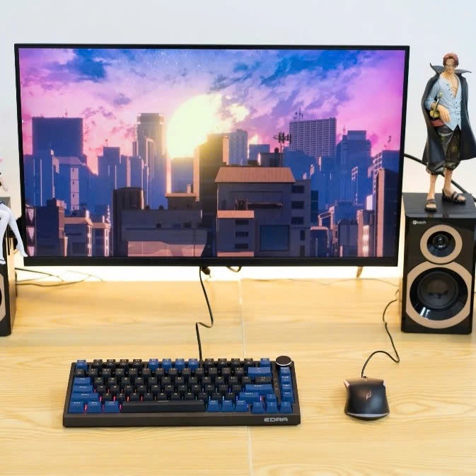 Bàn phím cơ Gaming EDRA EK375v2, Bàn Phím Chơi Game TKL 82 Alpha / Beta Bảo Hành 24 Tháng