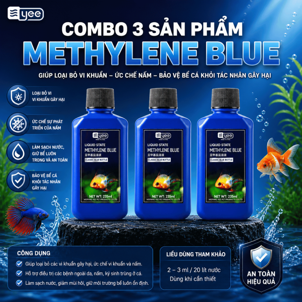 Combo 3 Chai Methylene Blue (Yee)  - khử trùng, phòng và đặc trị các bệnh ngoài da cho hồ cá thuỷ si
