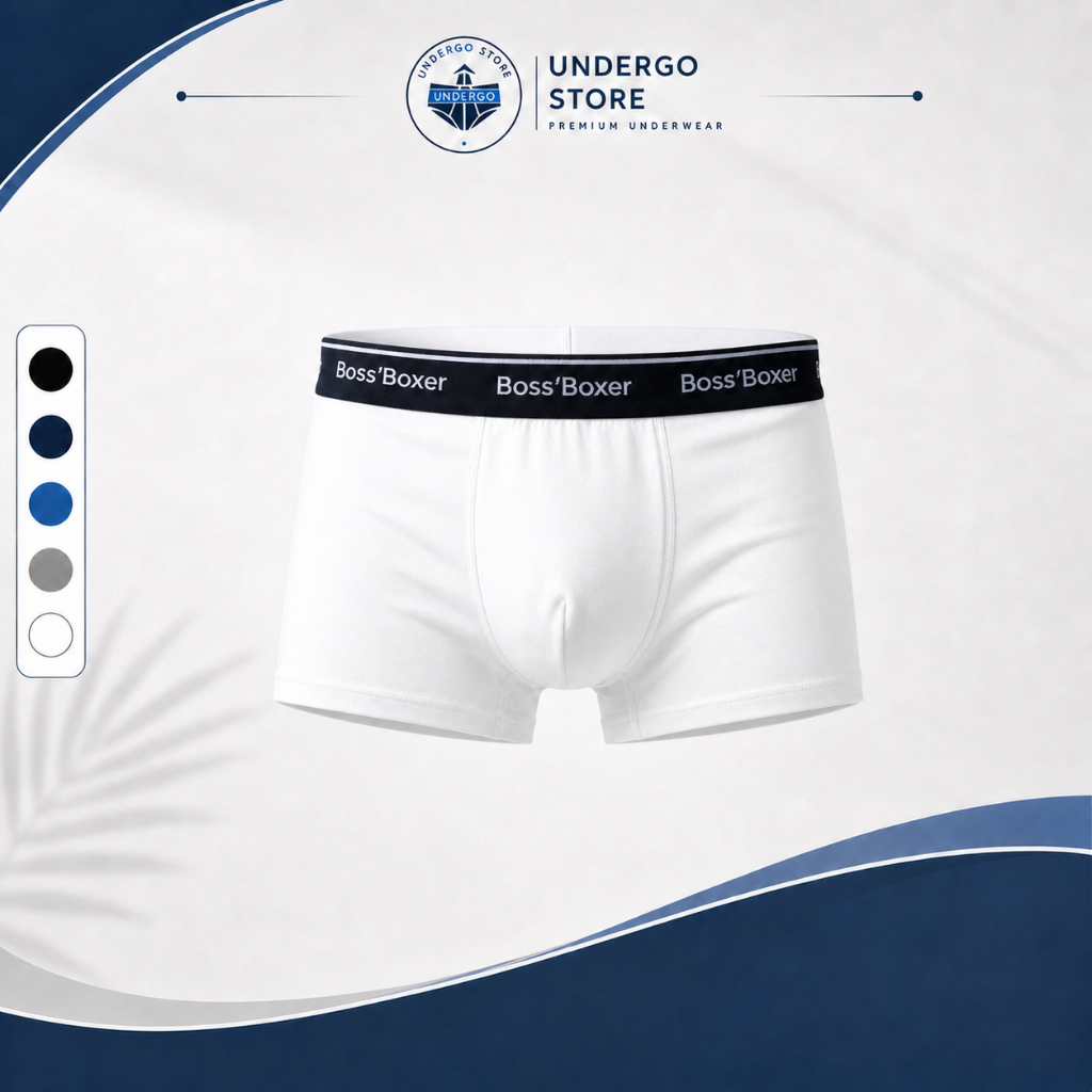 Quần lót nam boxer COMBO 5 thun lạnh cao cấp , co giãn thoáng mát, mặc êm, cạp mỏng Bo2 [2]