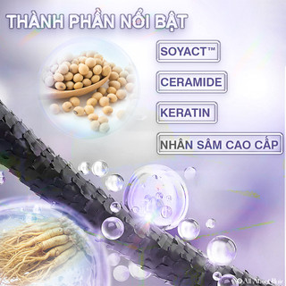 Combo Dầu Gội, Dầu Xả, Ủ Oil, Xịt Dưỡng Tóc Biotin AAH Chăm Sóc Và Phục Hồi, Dưỡng Tóc Toàn Diện