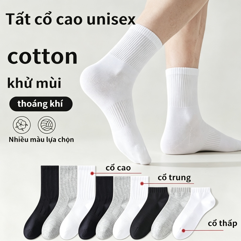 Tất nam Tất cổ cao cotton thoáng khí – Unisex, basic dễ phối đồ vớ nữ tất nữ