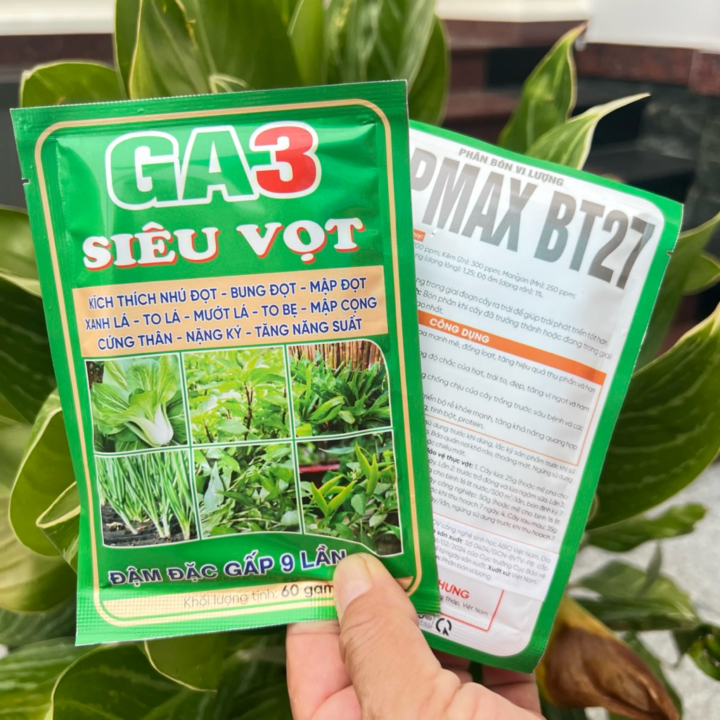 [5 GÓI] Phân bón lá GA3 Siêu vọt đọt, bung đọt, kích thích nhú đọt cung cấp GA3 và Amino hữu hiệu (G