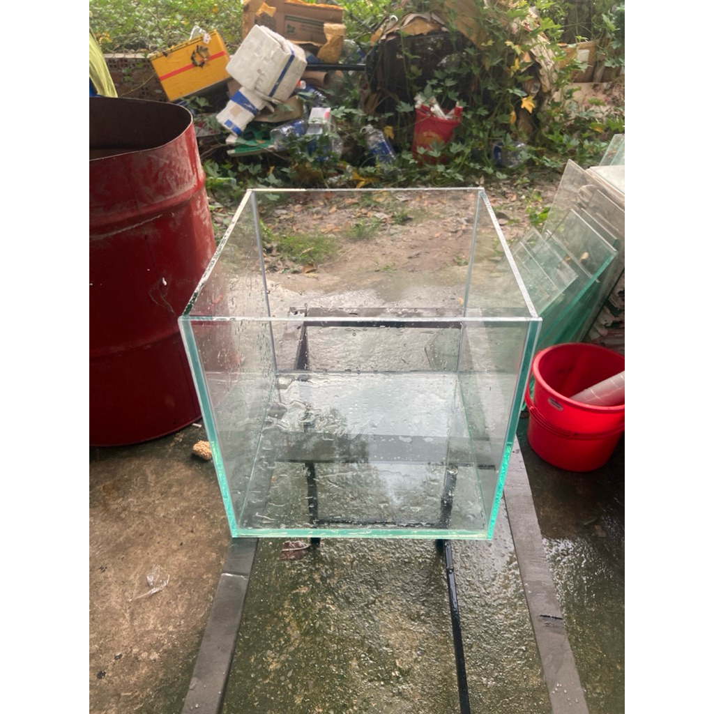hồ cá cubic 25x25x25 kính 5li