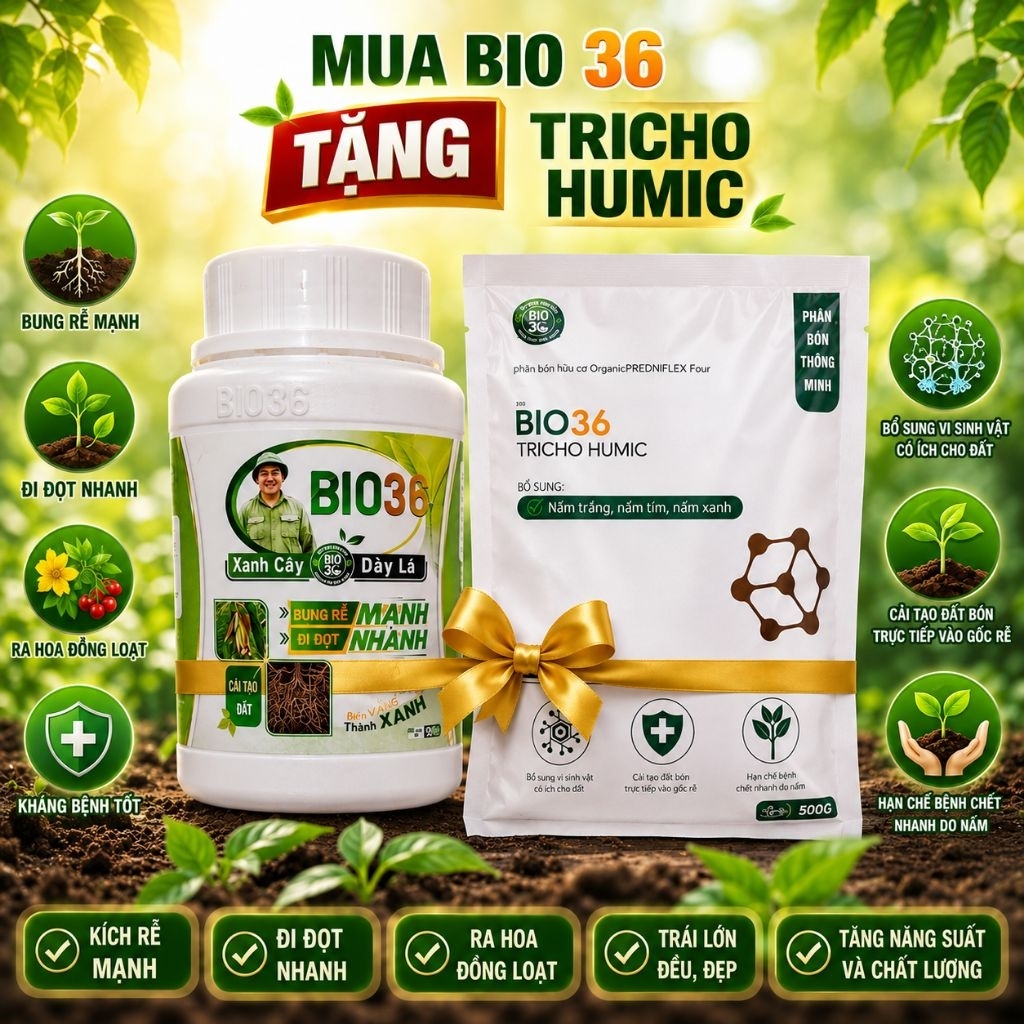 Phân bón bio 36 (hũ 500g) kích rễ + tặng 1 gói Tricho humic (500), bio 36 hàng chính hãng đi đọt nha