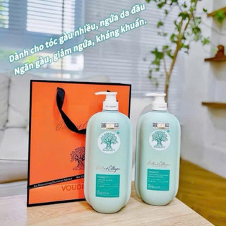 Cặp dầu gội biotin & collagen