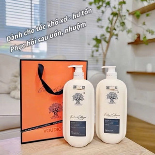 Cặp dầu gội biotin & collagen