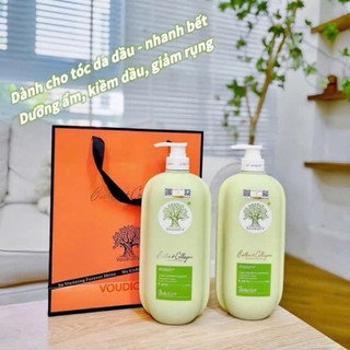 Cặp dầu gội biotin & collagen