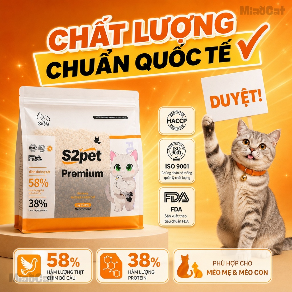 Hạt S2Pet Premium chuyên dùng mèo mẹ & mèo con - Hỗ trợ mèo phát triển và hồi phục chuyên sâu