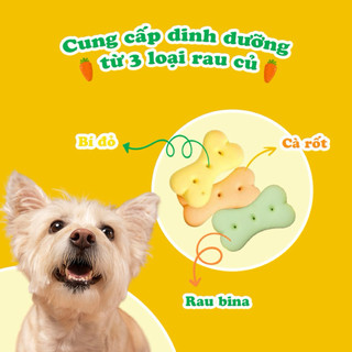 Bánh Quy DoggyMan 160g Cho Chó Size Nhỏ Snack Thưởng Giòn Tan Vị Rau Củ Hoặc Sữa