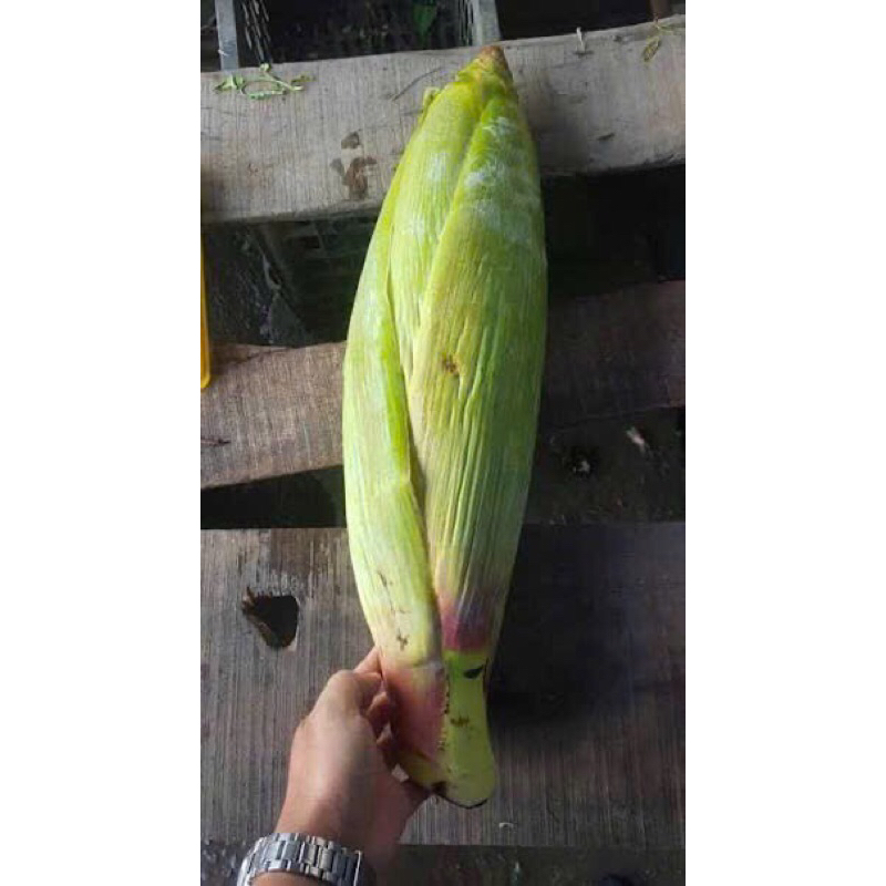 bắp chuối hột làm gỏi gà siêu ngon (Oder trc 1 hôm )
