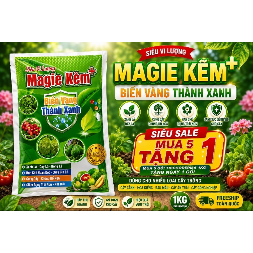 Magie kẽm gói