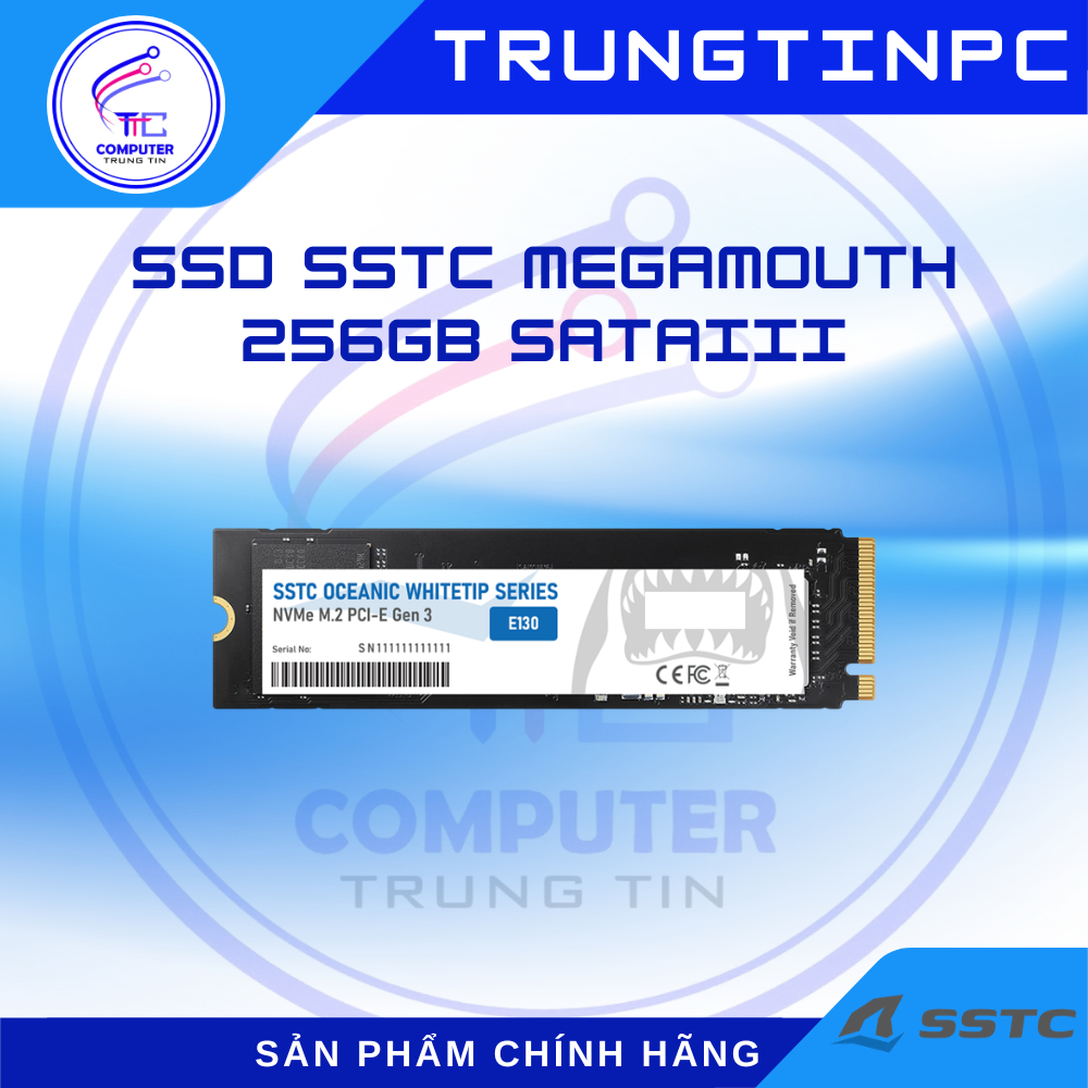 Ổ cứng SSD M.2 NVMe SSTC E130 Plus 256GB - Chính hãng, BH 36T