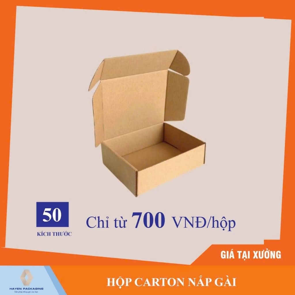 25x20x6 - Hộp Carton Nắp Gài (Hoả Tốc Hà Nội)