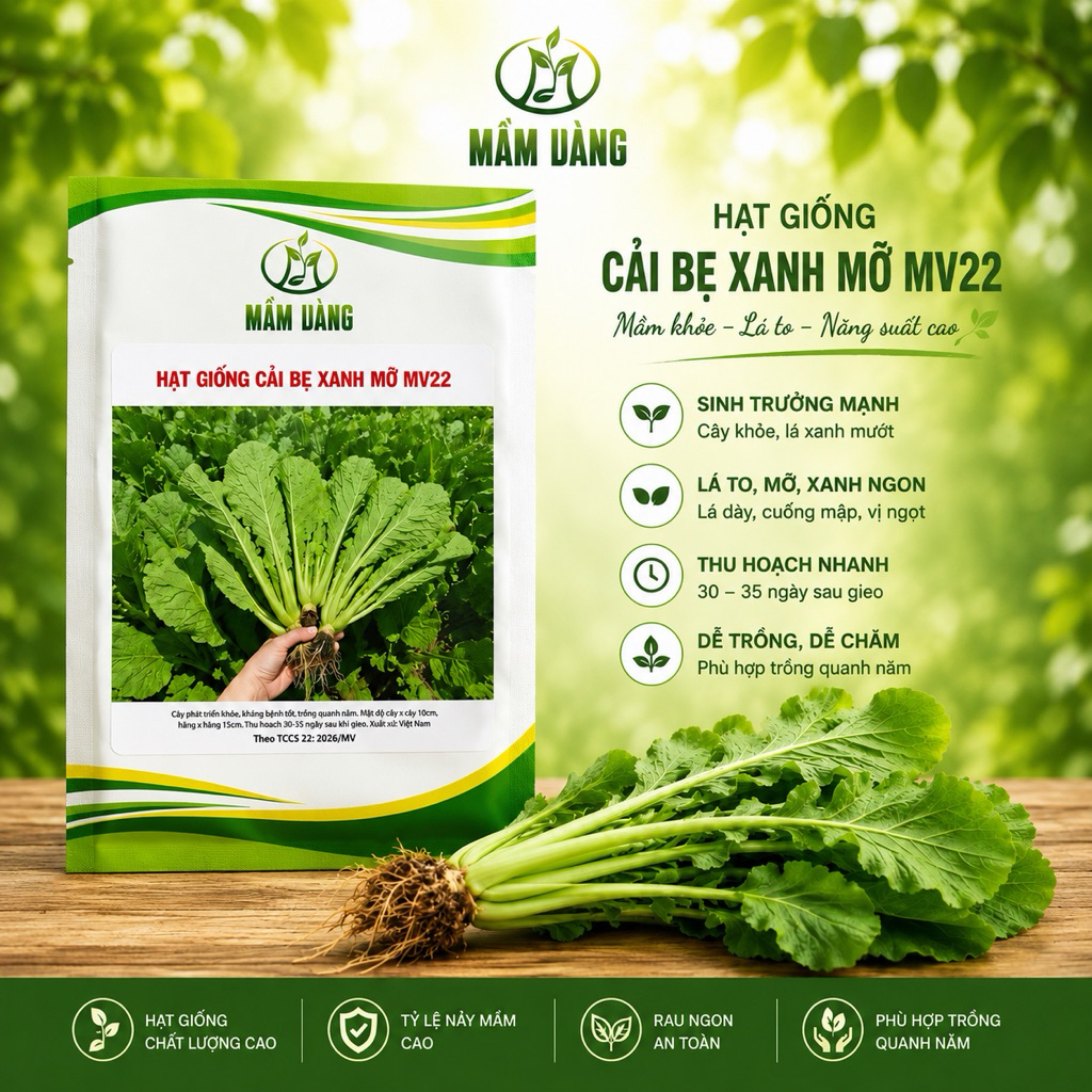 HẠT GIỐNG CẢI BẸ XANH MỠ MV22 (Cải canh) - gói 20g->100g- Dễ trồng, ăn ngon, thu hoạch nhanh.