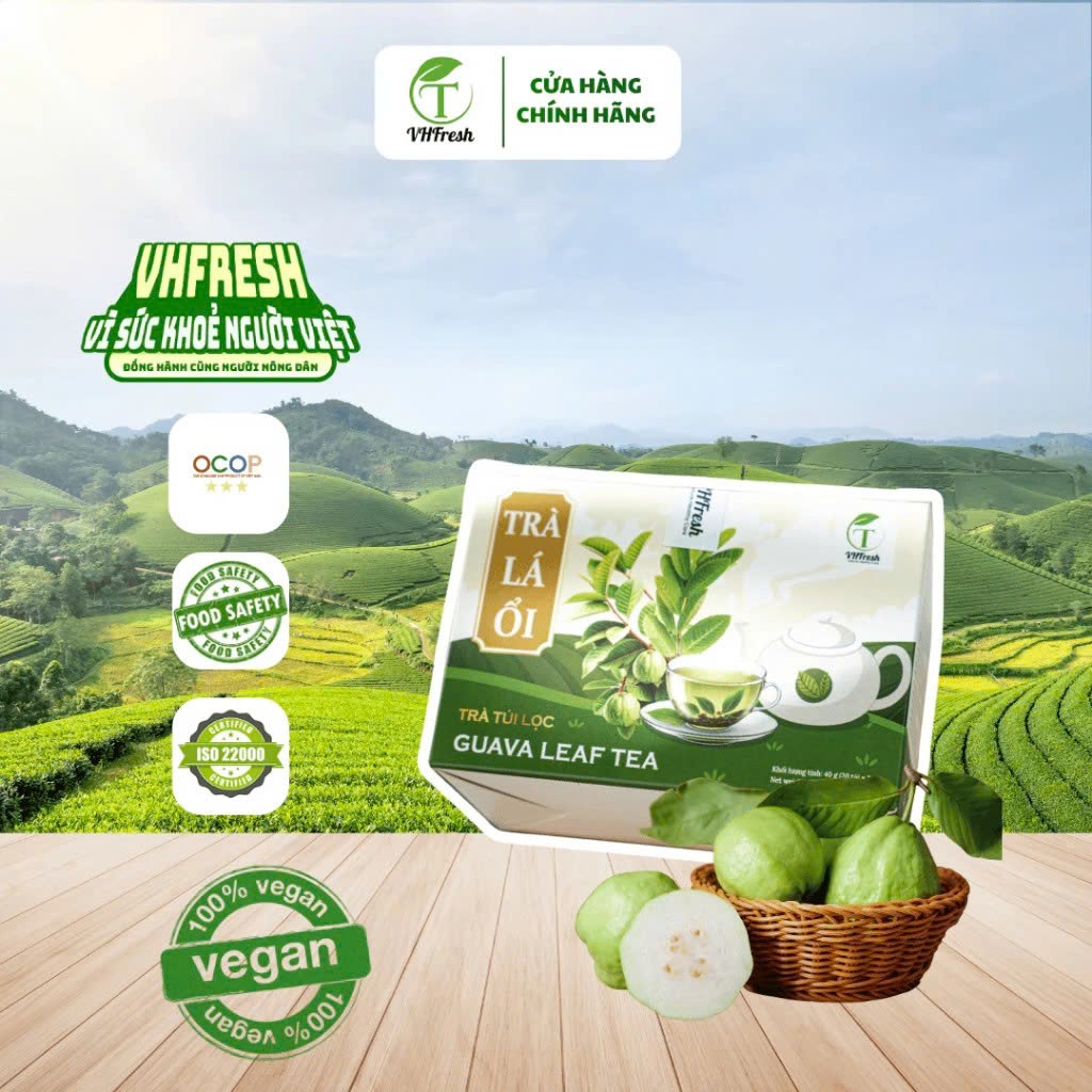 TRÀ LÁ ỔI TÂY NGUYÊN – VHFresh