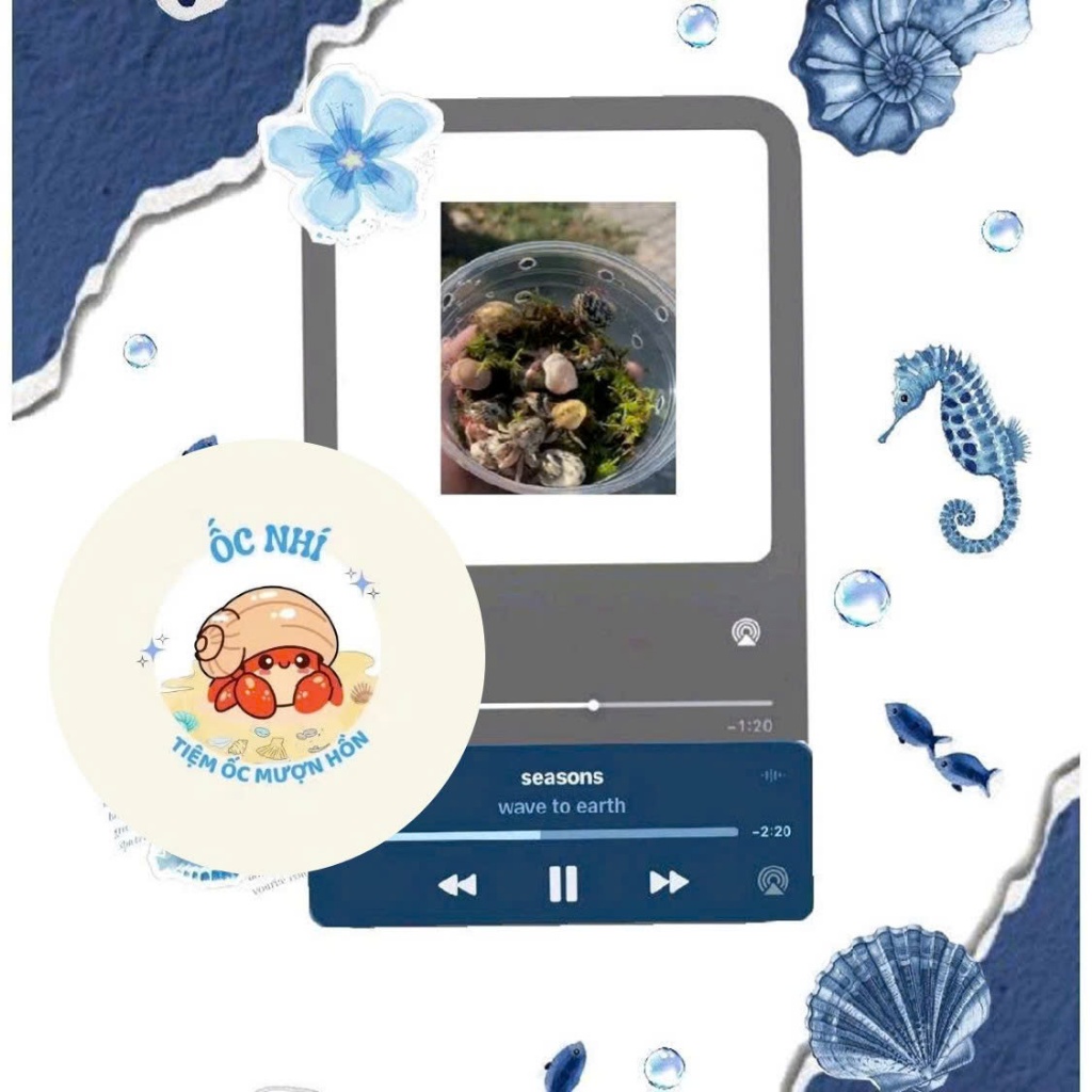 [COMBO][Hình Dán Sưu Tầm Rugo Thường] ~ Tặng vỏ ốc kèm (Decal giấy dùng trong văn phòng phẩm)