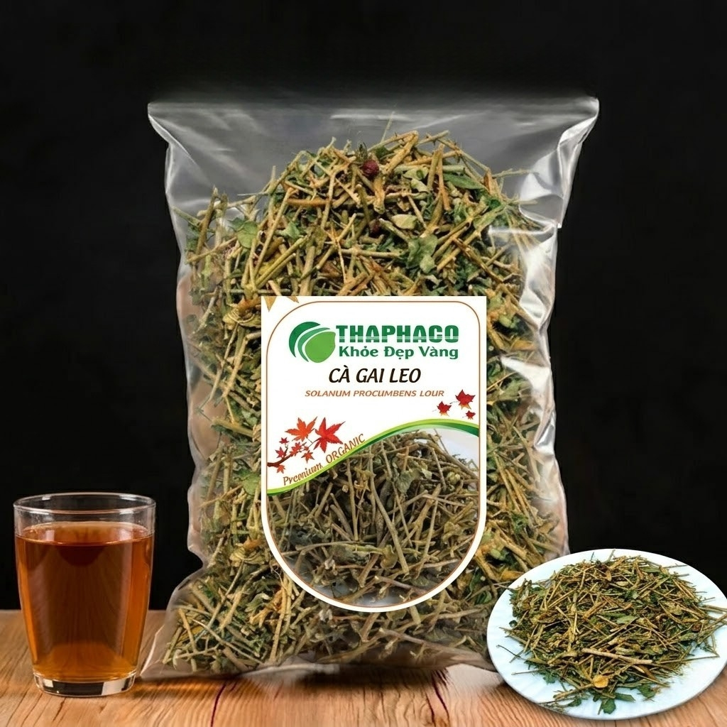 combo 2kg Cà gai leo khô - Thảo Dược Tấn Phát