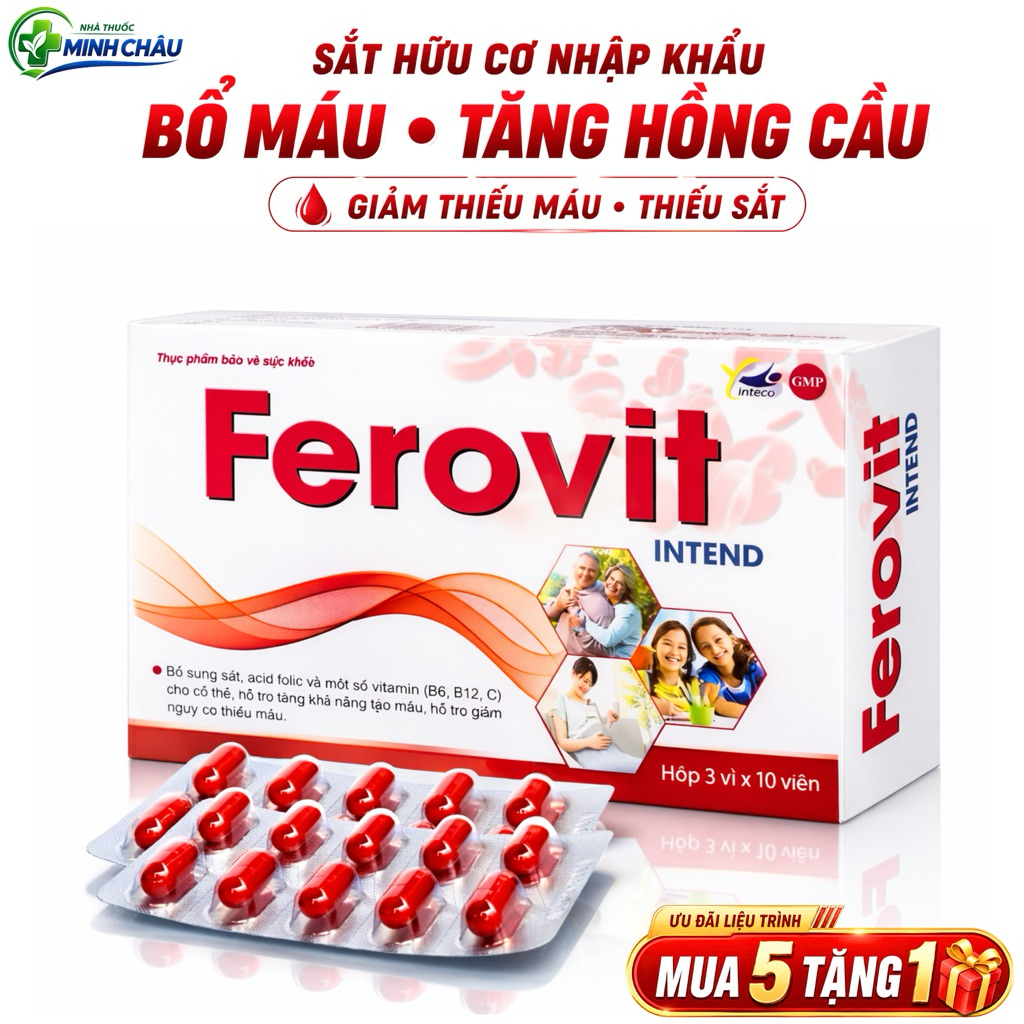 Viên Sắt Bổ Máu Ferovit Intend – Bổ Sung Sắt, Acid Folic Cho Bà Bầu, Người Thiếu Máu