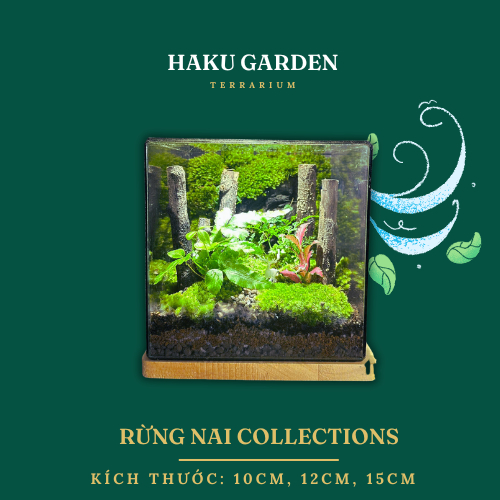 Bể Terrarium Nai trong rừng (kèm đèn gỗ và túi quà)