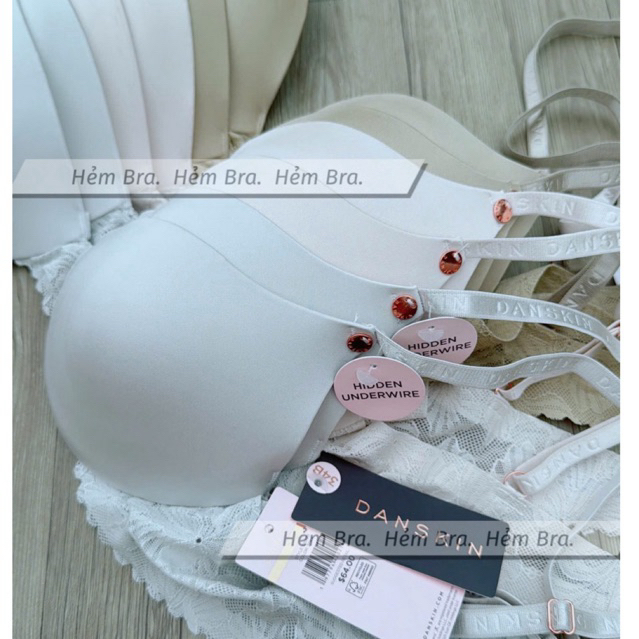 (D.S.X145) Áo lót 34B xuất x.ịn dư hãng Dan.skin (vòng ngực 85-88cm)