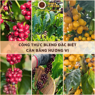 Cà phê Đặc Biệt Baka Coffee nguyên chất - Quả chín chọn lọc - Hậu ngọt sâu - Pha Specialty