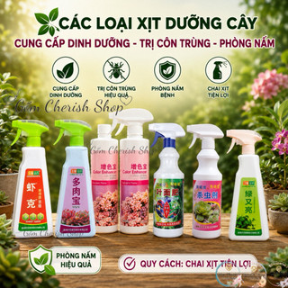 Xịt chống thối rễ, giúp lên màu sen đá kích rễ mầm chồi, xịt trị rệp côn trùng. dưỡng cây