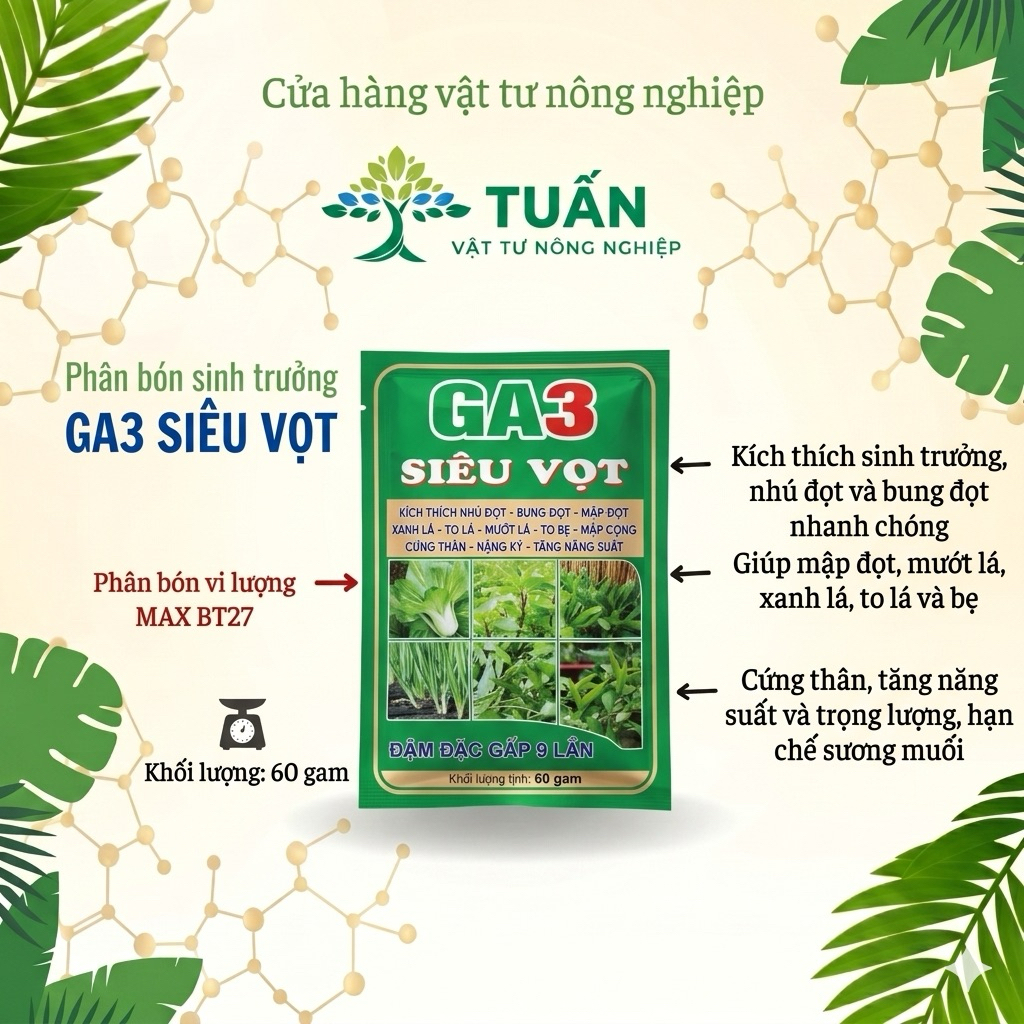 [5 GÓI] Phân bón lá GA3 Siêu vọt đọt, bung đọt, kích thích nhú đọt cung cấp GA3 và Amino hữu hiệu (G