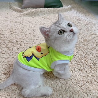 áo cho chó mèo thú cưng