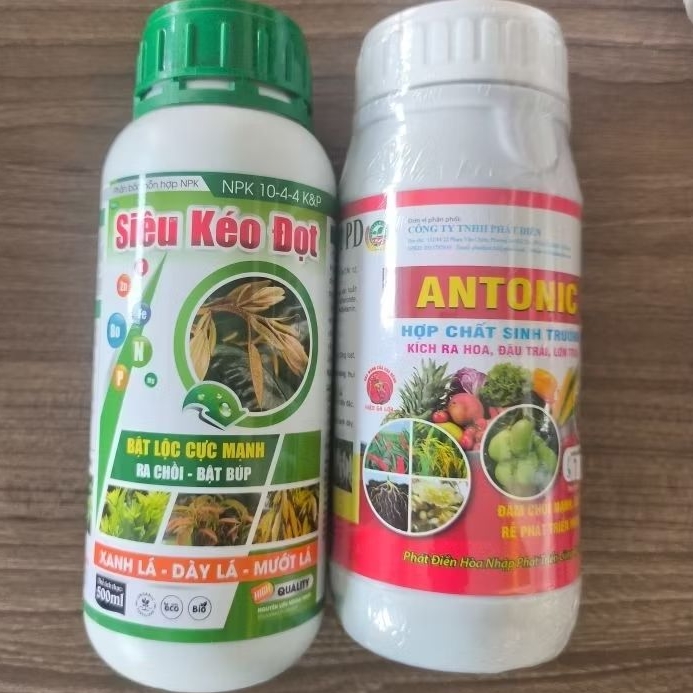 COMBO SIÊU KÉO ĐỌT + ANTONIC - PHA 400L.