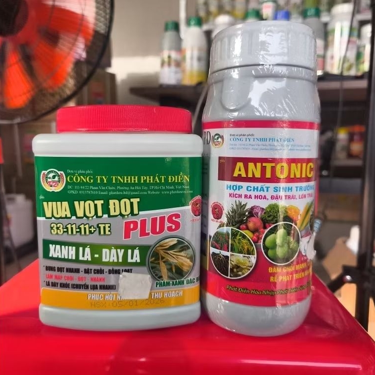 COMBO VUA VỌT ĐỌT 33-11-11+TE & ANTONIC.