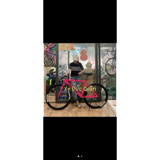 Xe Đạp Thể Thao TS Fixed Gear & Single Speed - Khung Thép Hợp Kim 700cc Mới 100%