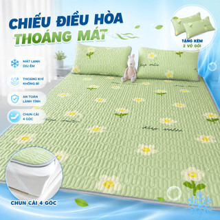 [Chun cài 4 góc] Chiếu Điều Hoà Họa Tiết Cute 5D Tencel Latex Cao Cấp, Hình Hoạ Tiết, Mẫu Mã Đa Dạng, Nhiều Kích Cỡ