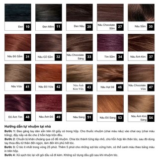 Thuốc nhuộm tóc phủ bạc REVLON ( Hàng chính hãng công ty )