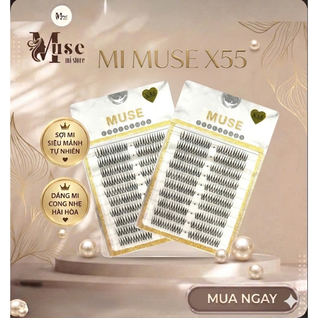 Mi Muse X55 - Mi giả, lông mi giả cụm, Mi Cụm Muse Tự Nhiên - muse_mi_store