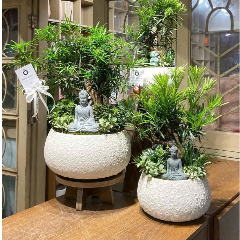 Chậu Atlantis hạt rẻ sứ Bát Tràng chậu trồng cây , decor, cắm hoa cực xinh | Living Decor